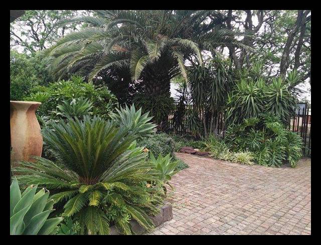 17 BEDROOM HOUSE FOR SALE IN WITBANK EXT 5